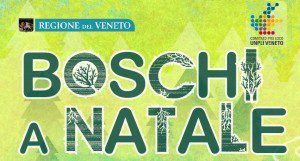 boschi_a_natale_piccola-300x161