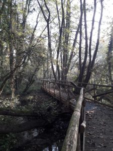 TV_Breda di Piave 4