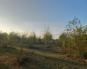 Isola d.Scala_1