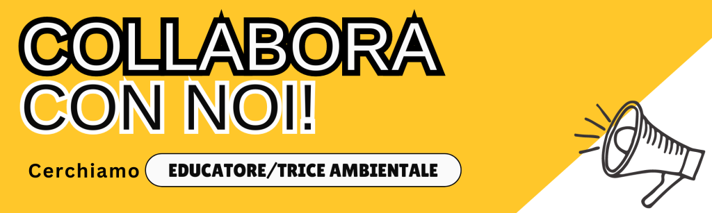 posizione aperta