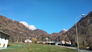 oplus_2