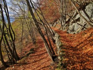 Longarone - POdenzoi