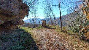 SOVRAMONTE ZORZOI TRA BOSCHI STORIE WILDERNESS